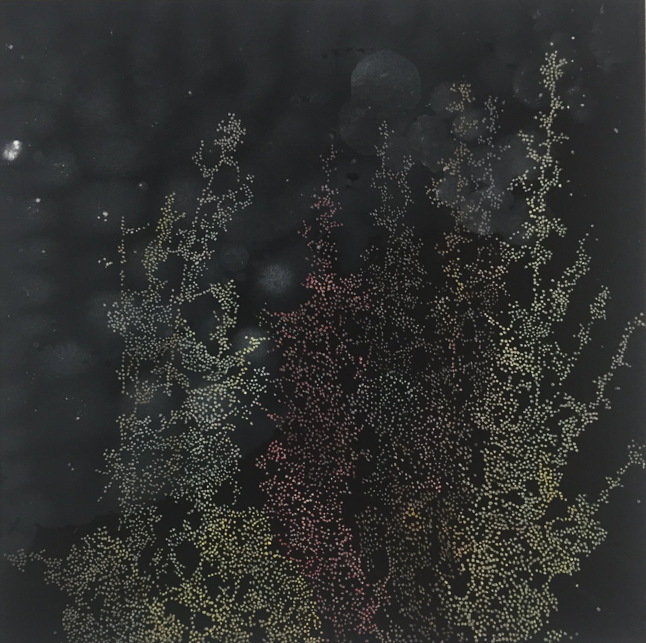 Den lette stilhed i den lysende skumring
50 x 50 cm.
Akryl på armydug